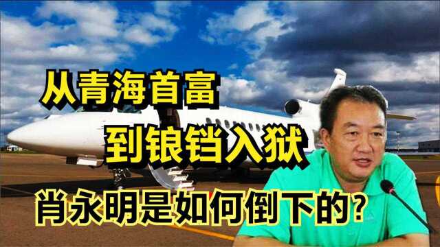 身家200亿的青海首富,从饭店老板到钾肥大王,触碰红线后满盘皆输