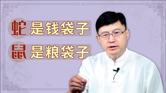 蛇鼠那么讨人厌,为何老祖宗却说:蛇是钱袋子,鼠是粮袋子?