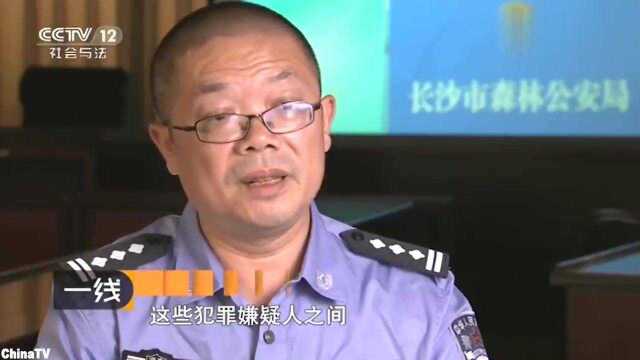 回顾:警方破获猕猴走私贩卖案,已经出售200多只猴子,涉及全国(三)