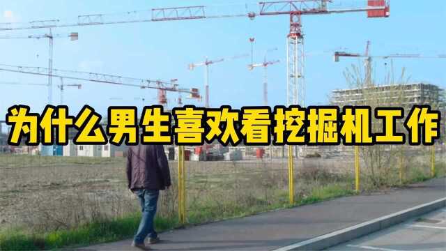 #“知识抢先知”征稿大赛# 为什么男生都喜欢看挖掘机工作