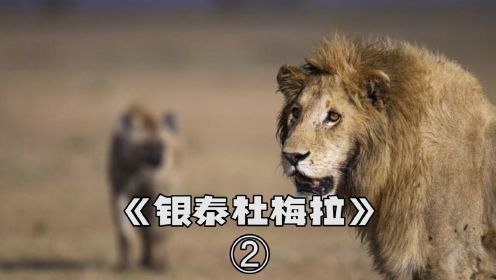 《银泰杜梅拉》：鬣狗与狮子，永世的宿敌，连杀两任鬣狗女王