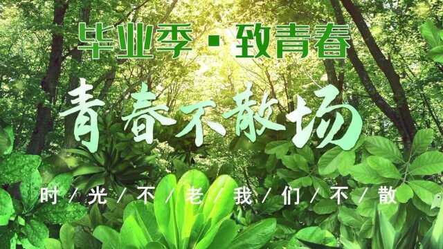 莱阳卫校2021届毕业生纪念视频 