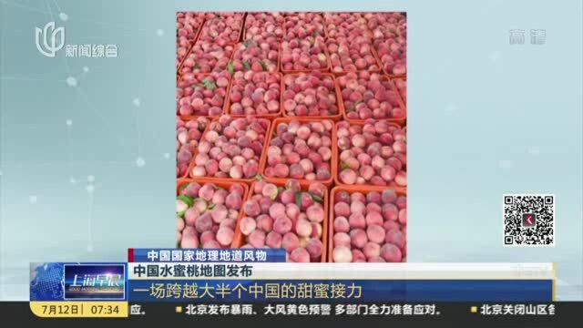 中国水蜜桃地图发布:一场跨越大半个中国的甜蜜接力