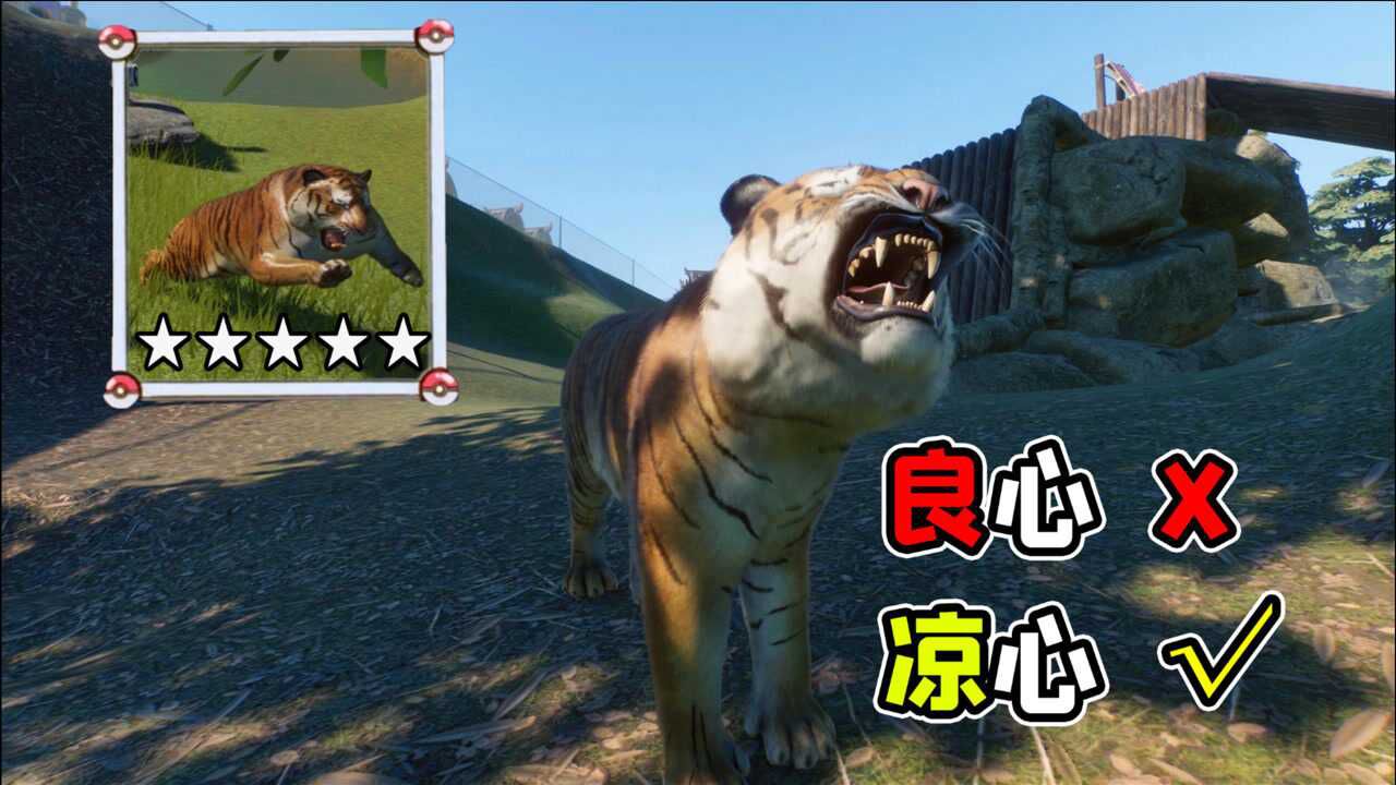 动物园之星:游客嫌门票太便宜,于是我们连夜补充了"凉心项目"