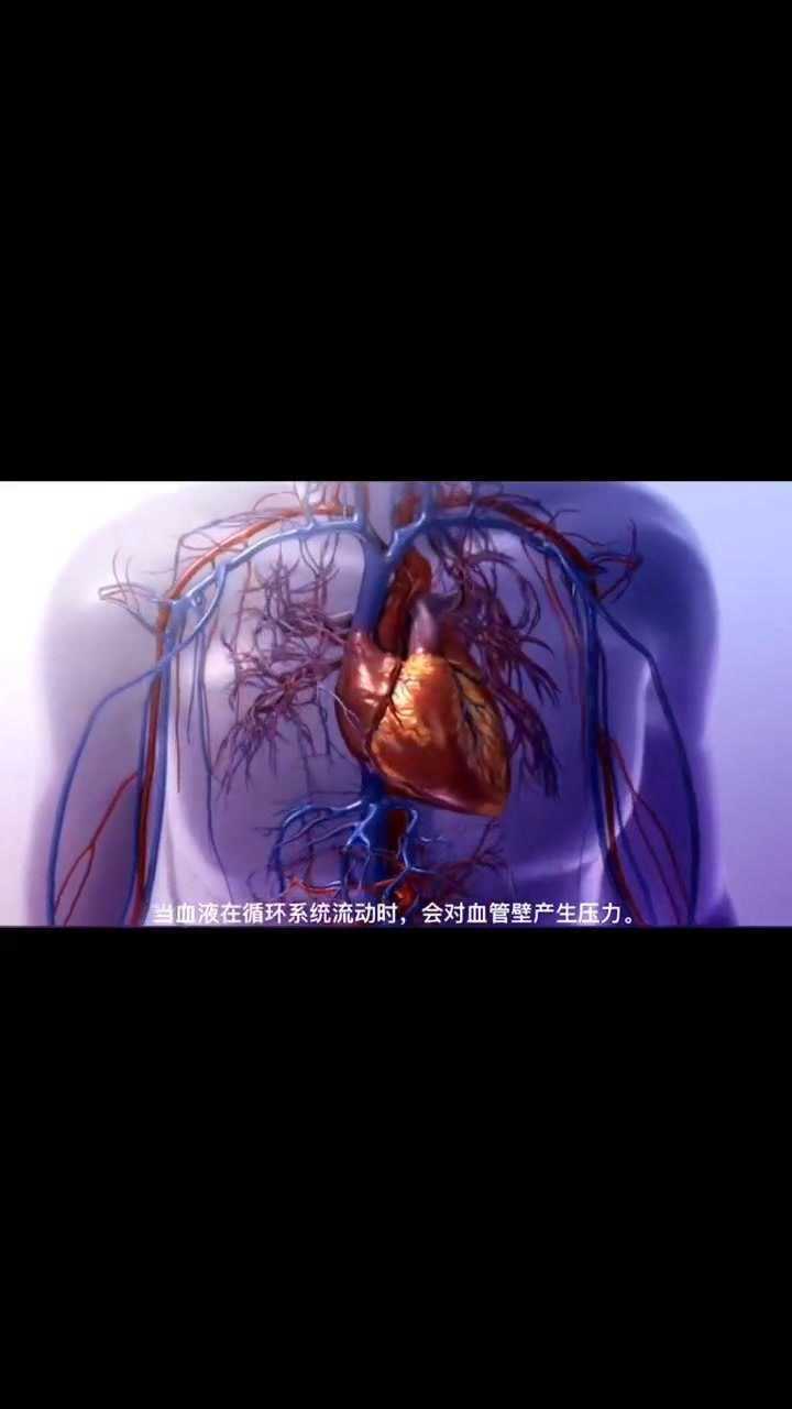 血压的形成原理_高清1080P在线观看平台_腾讯视频
