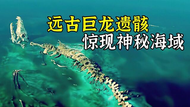 神秘海域惊现远古巨龙遗骸,人与龙的爱情传说来自这里,高分爱情片《他是龙》#电影种草指南大赛#