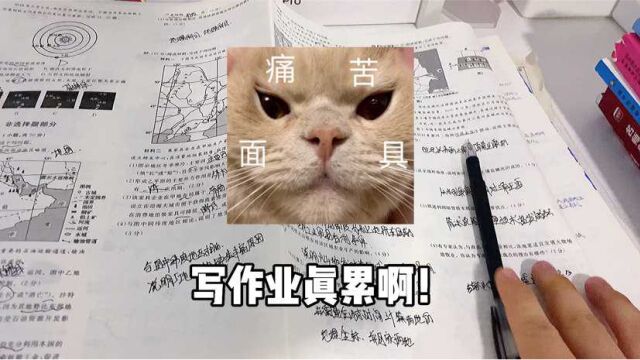 当我的漂亮表姐监督我写作业时