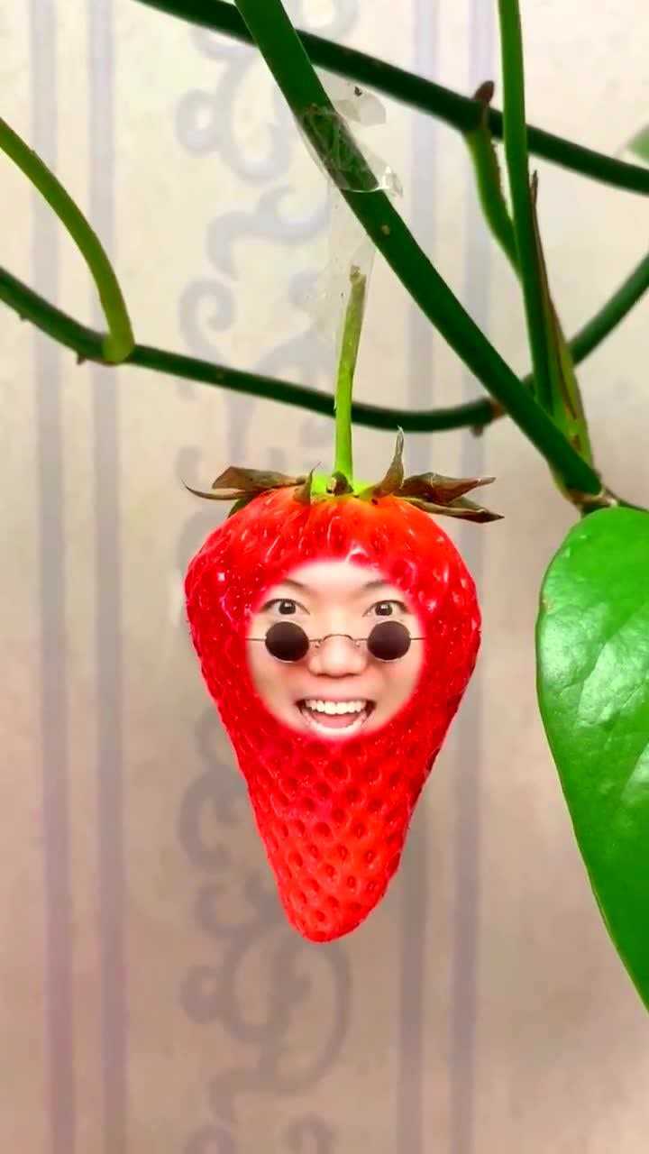 百变君今天变成了一颗小草莓美女我不会游泳啊