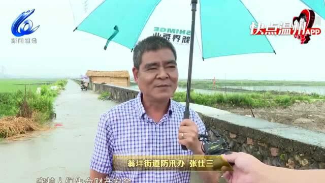 【温视频】瑞安:全面排查水利设施