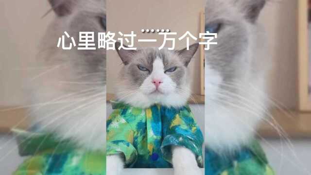 猫厨娘小厨房,又一个失败的作品,我为什么会说又呢?