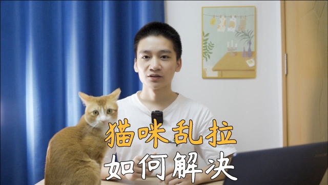 猫咪乱尿的解决办法来了,记得收藏起来.