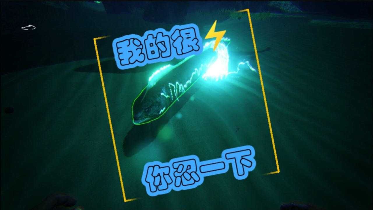 【方舟 生存进化】加拿大电鳗vs水母
