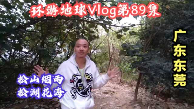 环游地球Vlog第89集:东莞旅游景点打卡松山湖,松湖烟雨松湖花海