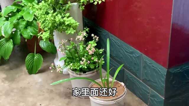 河南郑州特大暴雨有多严重?看看河南最高位置安阳的现状