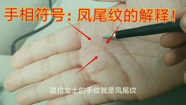 手相:凤尾纹的解释!(84)