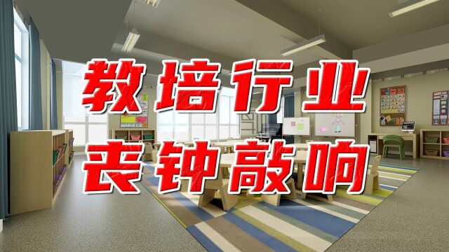 教育股再次暴跌!一天内蒸发400亿港币,教培行业的丧钟敲响了?#财经热榜短视频征集#