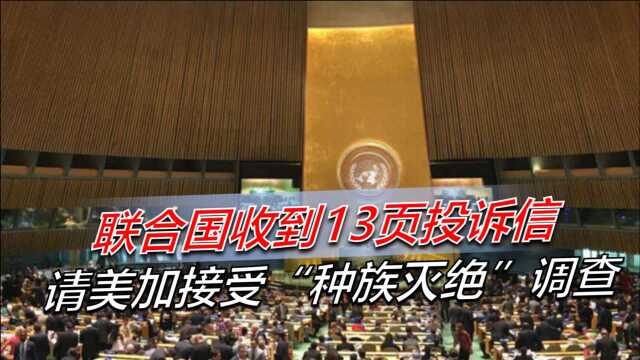 联合国收到13页投诉信,请美加接受调查,中国很淡定