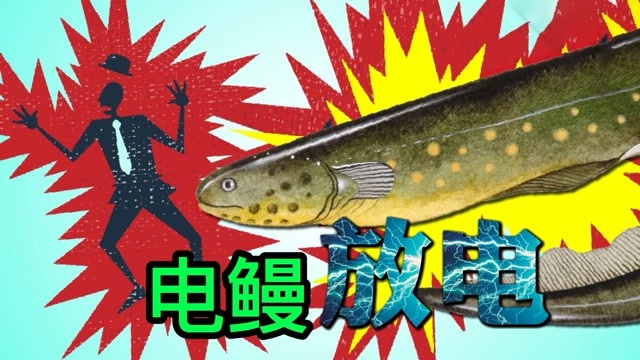 电鳗是如何放电的科学家给出解答看完大吃一惊知识抢先知征稿大赛