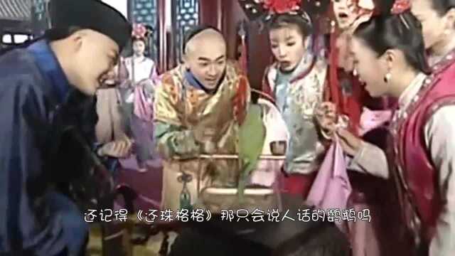 主人当着鹦鹉的面将笼子踩坏,鹦鹉瞬间炸毛!英文骂人贼流利