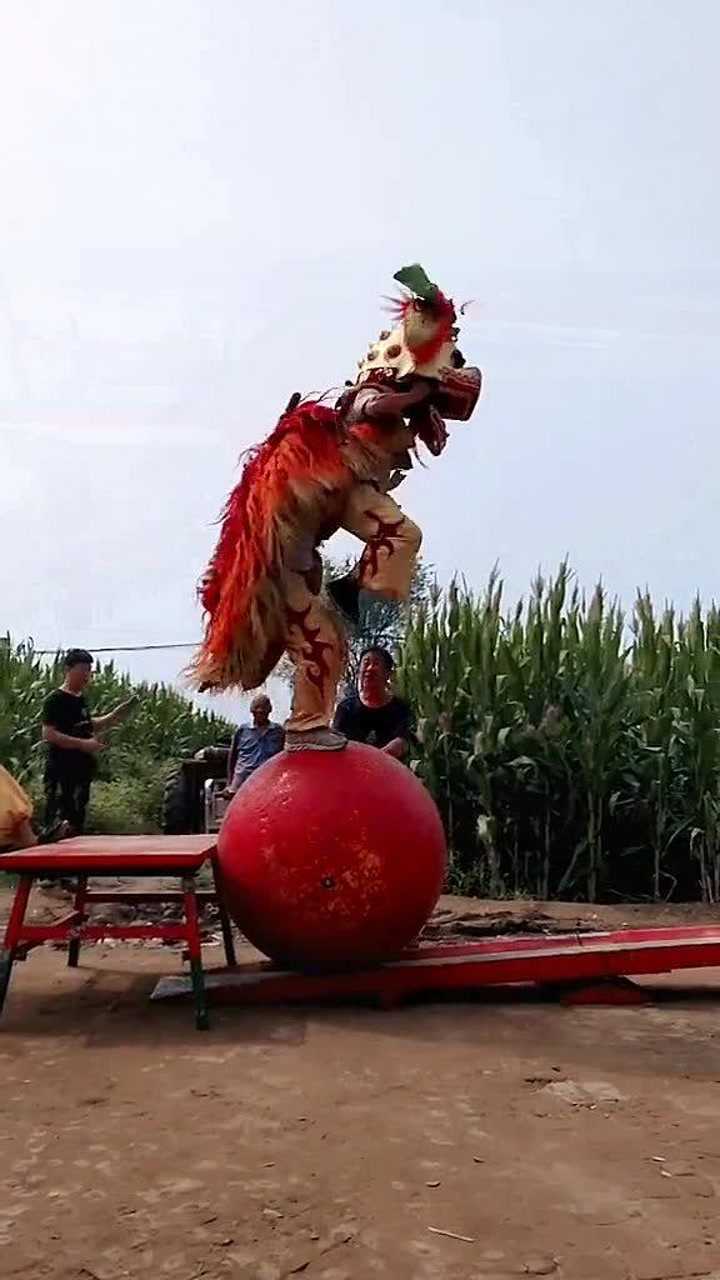 舞狮表演狮子滚绣球,喜欢民间艺术的,进来看看_高清1080P在线观看平台_腾讯视频