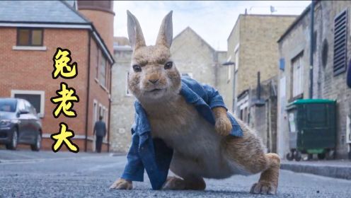小兔子为了找到兔生的意义，独自出来流浪，喜剧动物电影
