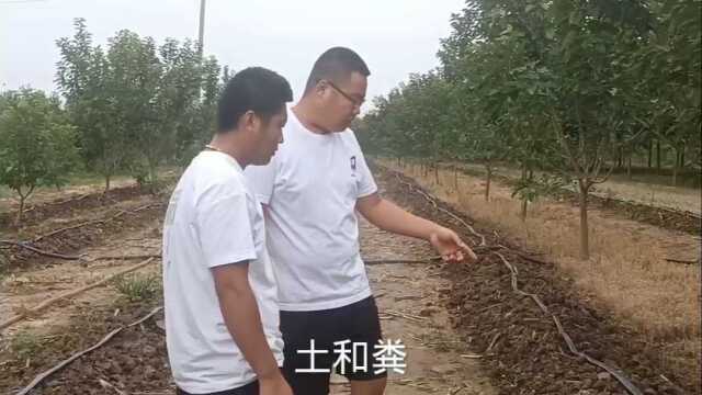 小伙养蚯蚓,前期蚓床没做好,密度竟然没减少,用了什么办法呢?