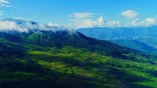 红河县元阳梯田风景航拍