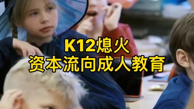 K12熄火,资本流向成人教育