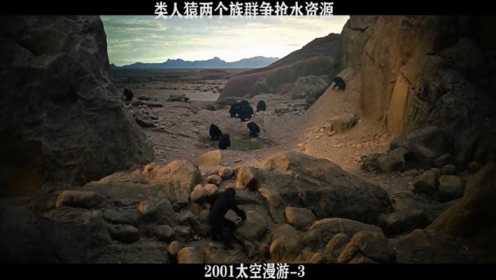 2001太空漫游-03，类人猿两个族群，争抢水资源