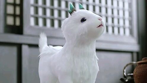 上古凶兽白泽瘦,竟然变成了小可爱《宸汐缘》8