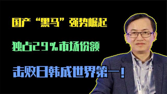 国产“黑马”强势崛起,独占29%市场份额,击败日韩成世界第一!