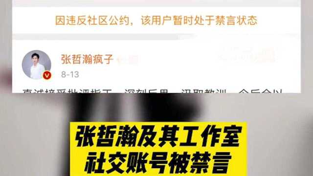 张哲瀚社交账号被禁言,这是连发文机会都没了,有点心疼新丽了