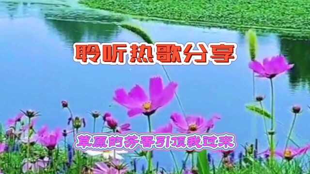 草原芬芳(蒙古甜女)