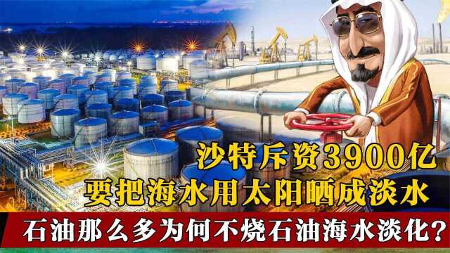 沙特斥资3900亿,要把沙漠变成良田?海水淡化要靠太阳不烧石油?