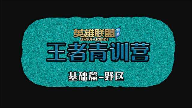 想被队友亲切的称呼为“野爹”么? #英雄联盟10周年