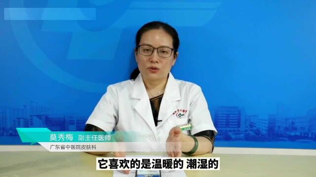 日常居家应该如何预防螨虫滋生?专家给你来支招