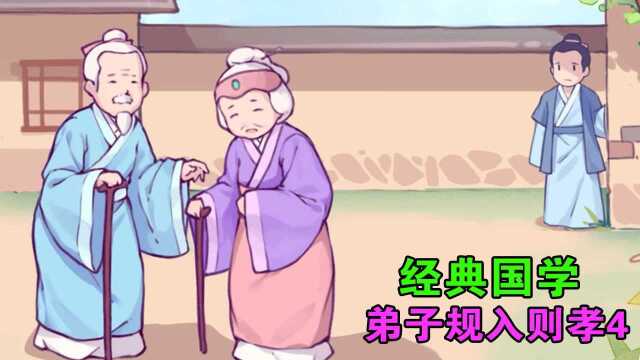 猫小帅国学系列之弟子规入则孝4#知识ˆ’知识抢先知#