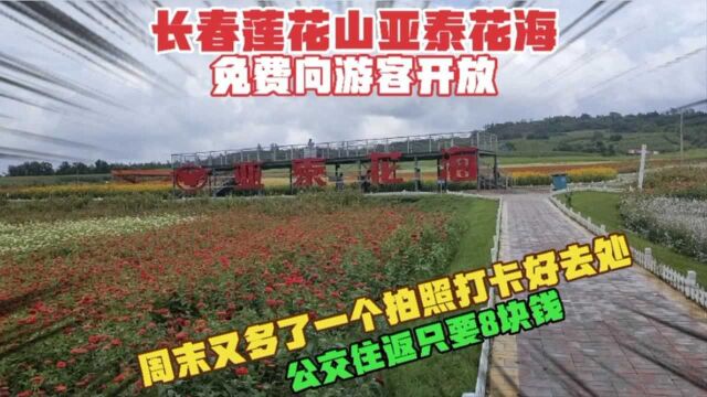 长春这片花海,面向游客免费开放,周末又多了一个拍照打卡好去处