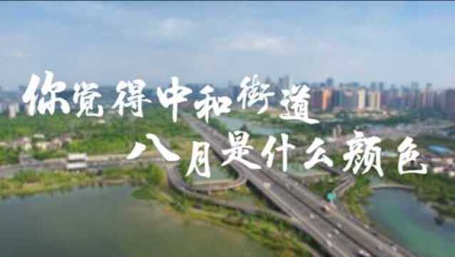 盛夏光“颜”读八月,一“色”知秋绘中和