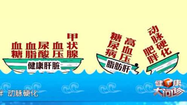 一幅图片告诉你脂肪肝危害,专家现场讲解,赶紧看看早知道早预防