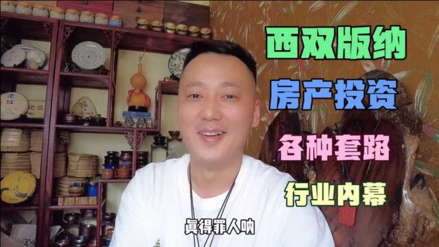 西双版纳买房投资需谨慎,小胖揭秘行业内幕实情,冒着危险说实话