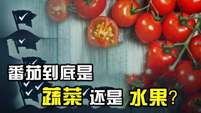 番茄到底是水果还是素材?专家说出实情,答案你别不信!#知识ˆ’知识抢先知#