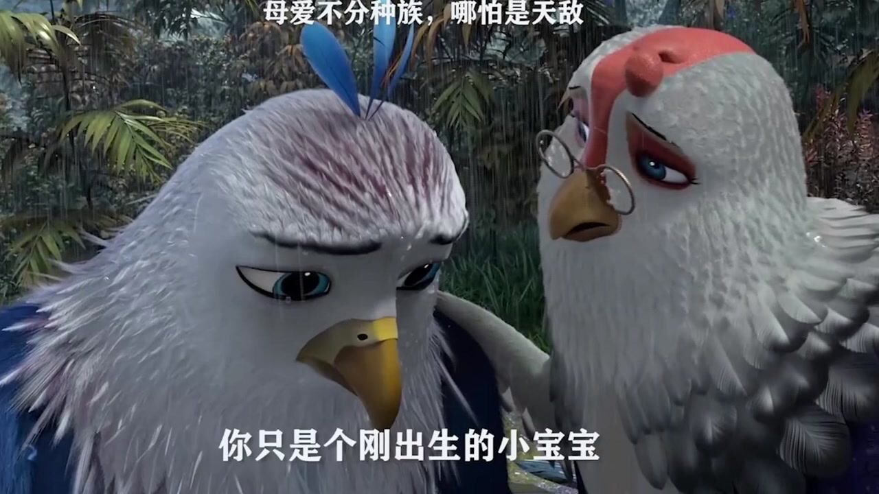 老鹰抓小鸡好戳人，爱不分种族，哪怕我们是天敌_高清