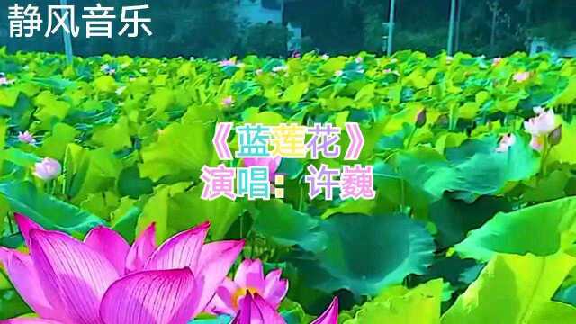 歌曲《蓝莲花》演唱:许巍