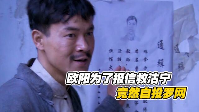 欧阳被国民党通缉,但为了报信救沽宁,毅然决然上门报信