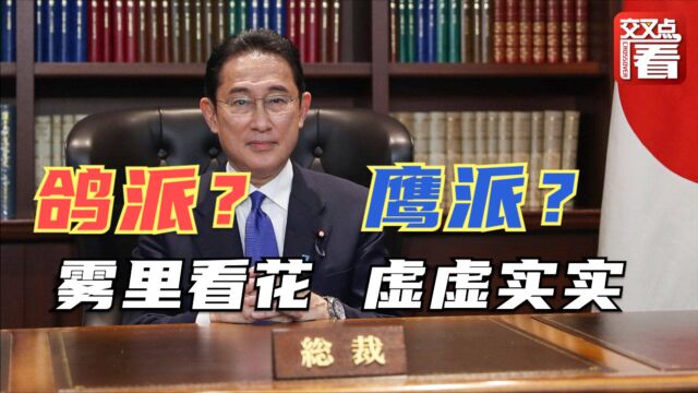 雾里看花虚虚实实!岸田文雄对华到底是“鸽派”还是“鹰派”?