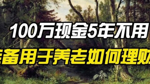 有100万现金5年不用,准备用于养老,如何安排理财?