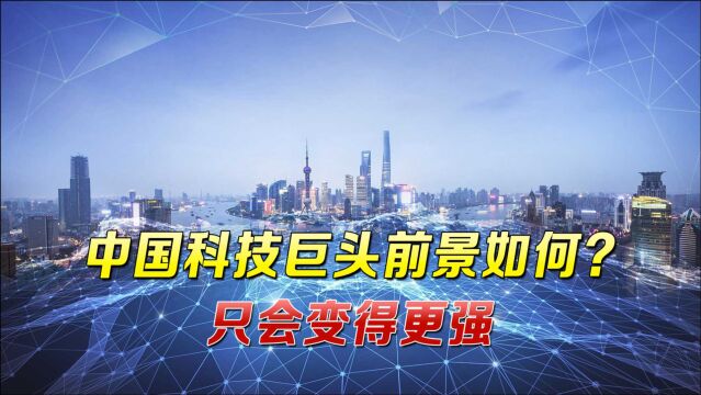 中国科技巨头前景如何?外媒这次点出真相:未来只会变得更强