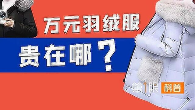 一年比一年贵!保暖神器羽绒服成本是多少,为什么能卖上万元?