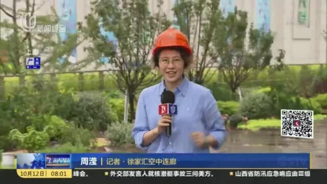 打造城市商圈新景观 徐家汇空中连廊二期稳步推进